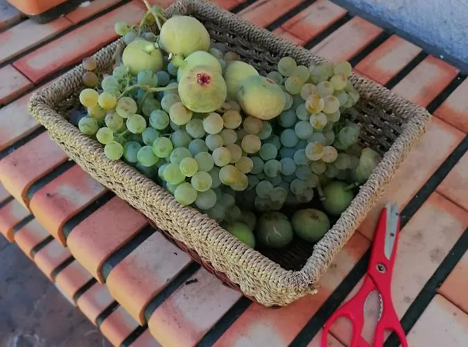 Casa Do Pombar En Valdeorras Seadur